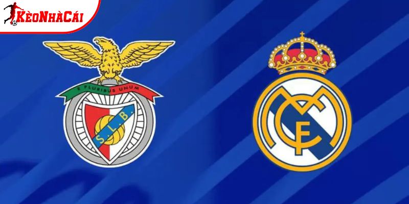 Soi Kèo Benfica vs Real Madrid, 03h 18/2 - Cúp C1