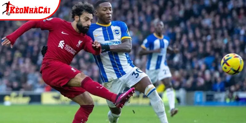 Brighton vs Liverpool không còn lạ nhau